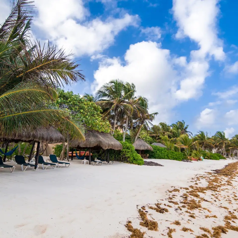 elemental soliman beachfront homes for sale in tulum